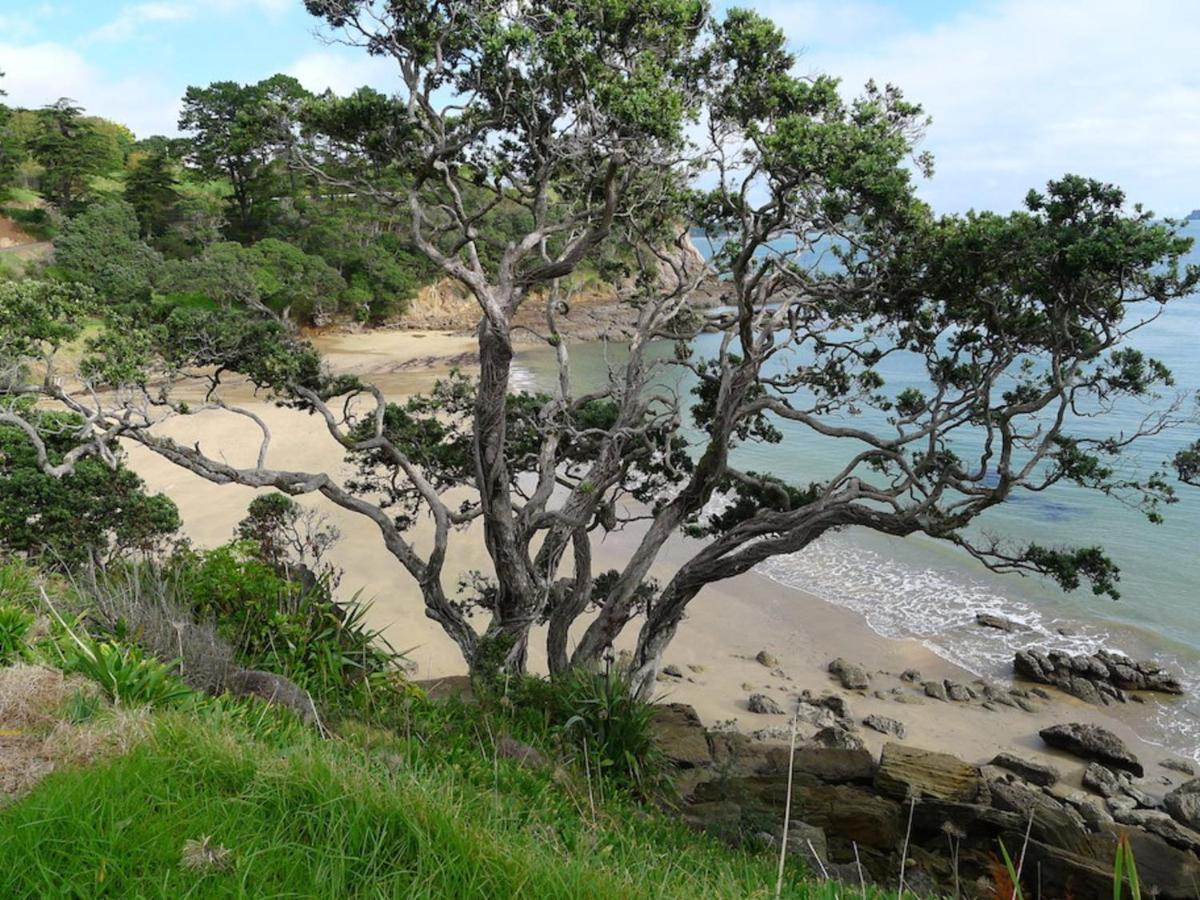 Anglers Lodge Coromandel Екстериор снимка